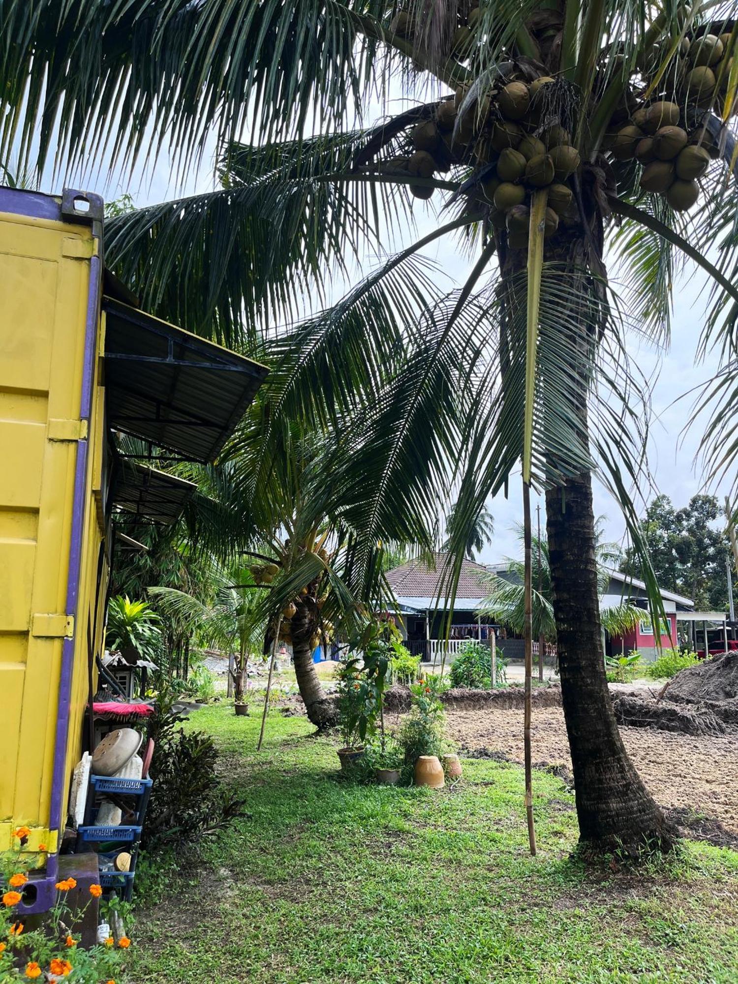 Purple Cube At Lumut Cube Homestay Kontena Exterior photo